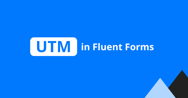Fluent Forms: Track and capture UTM parameters