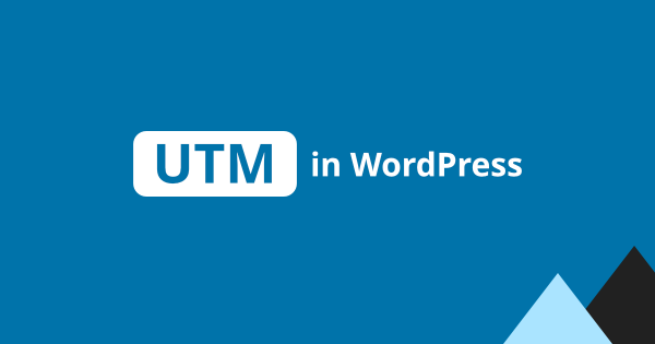 How to capture UTM parameters in WordPress?