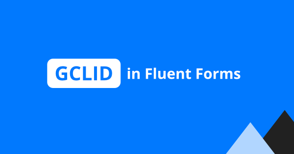 How to capture GCLID in Fluent Forms without hidden fields?