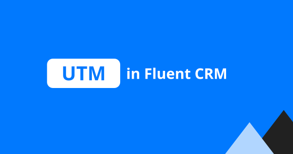 How to send UTM parameters to Fluent CRM?
